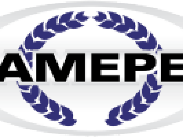Logo AMEPE Novo Pequeno